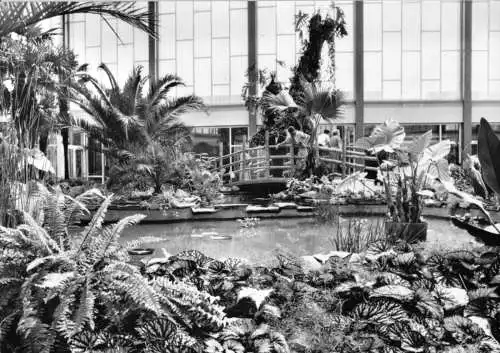 AK, Berlin Friedrichsfelde, Tierpark Berlin, Alfred-Brehm-Haus, Tropenhalle