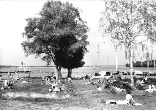 AK, Malchow Meckl., Freibad am Fleesensee, belebt, 1971