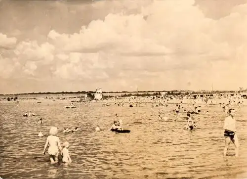 AK, Magdeburg, Barleber See, Badestelle, belebt, 1970