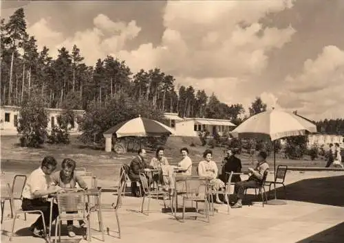 AK, Klink Kr. Waren Müritz, FDGB-Urlaubersiedlung, Sonnenterrasse, belebt, 1965