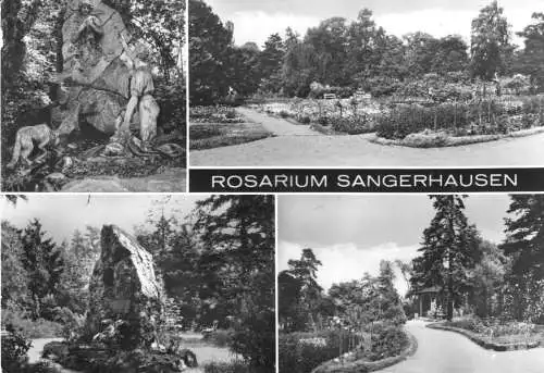 AK, Sangerhausen, Rosarium, vier Abb., 1982