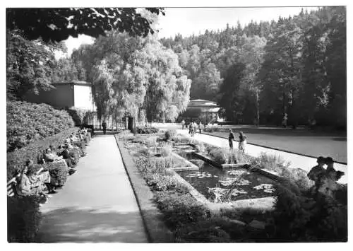 AK, Bad Elster, Goldfischbassin und Badecafé, 1977