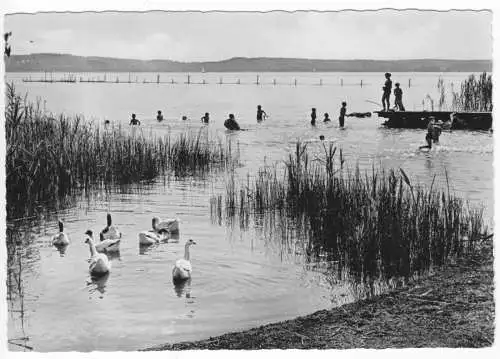 AK, Plau am See, Badestelle am Plauer See, belebt, 1960