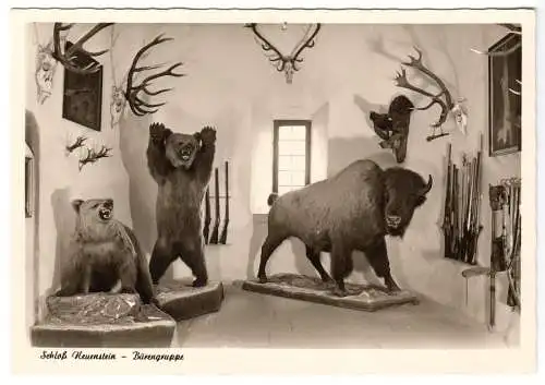 AK, Neuenstein, Schloß Neuenstein, Bison und Bärengruppe, um 1958
