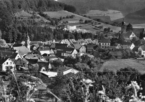 AK, Heiligkreuzsteinach b. Heidelberg, Teilansicht, 1963