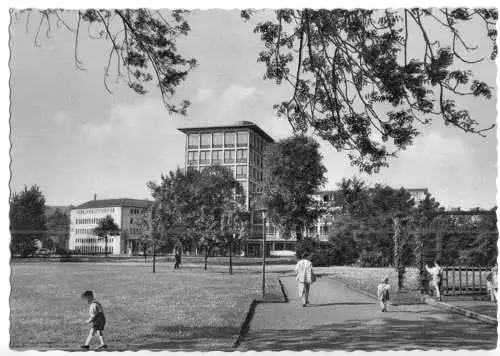 AK, Hagen Westf., Partie im Volkspark, um 1966