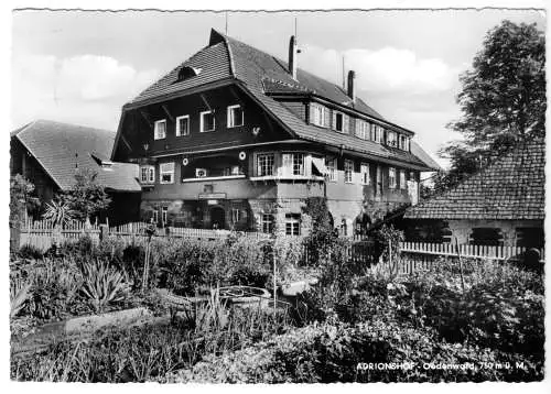 AK, Oedenwald über Freudenstadt, Gasthof und Pension "Adrionshof", 1962