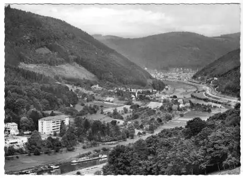 AK, Eberbach - Rockenau a. Neckar, Gesamtansicht, 1963