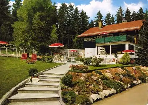 AK, Braunlage Harz, Waldcafé "Unter den Buchen", um 1975