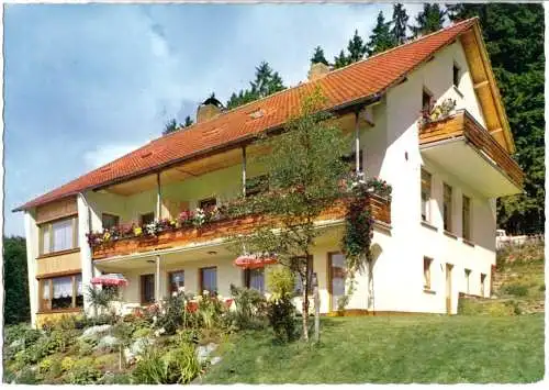 AK, Neuhaus im Solling, OT Fohlenplacken, Waldcafé und Pension "Rübezahl", 1967