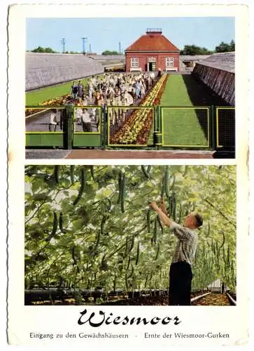 AK, Wiesmoor Ostfriesland, zwei Abb., 1965