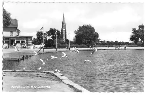 AK, Schleswig a.d. Schlei, Schleipartie, um 1960