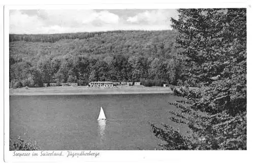 AK, Sorpsee im Sauerland, Blick zur Jugendherberge, um 1955