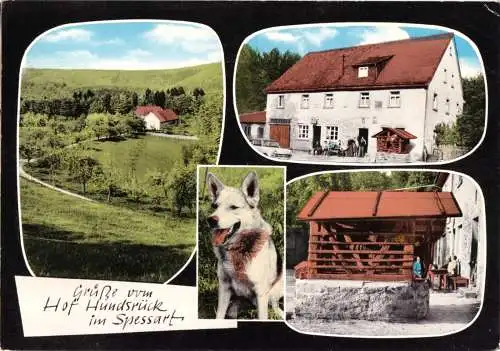 AK, Eschau über Aschaffenburg, "Hof Hundsrück im Spessart", vier Abb., 1967