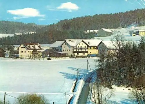 AK, Ayrhof Bayer. Wald, Gasthof - Pension "Ayrhof", 1991