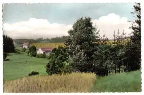 AK, Cottenau bei Wirsberg Ofr., Gasthof "Altes Schloß" (Waldblick), 1965