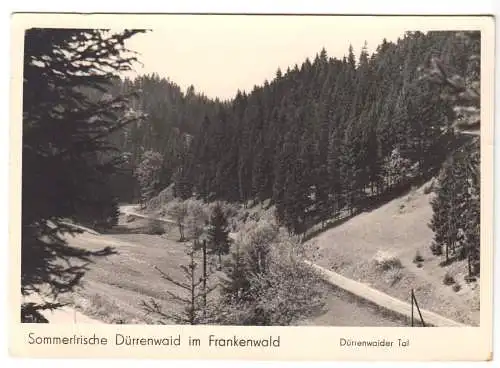 AK, Dürrenwaid im Frankenwald, Im Dürrenwaider Tal, 1955