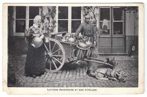 AK, Antwerpen, Antwerpener Milchfrau und ihr Team, 1915, Hundekarren