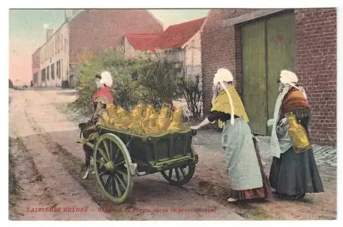 AK, Belgien, Milchbäuerinnen mit Hundekarren, Version 1, um 1914