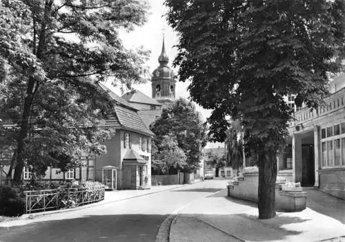 AK, Pretzsch Elbe, Goetheallee, 1970