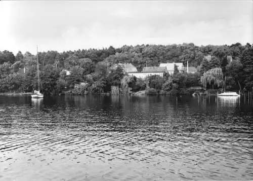 AK, Diensdorf am Scharmützelsee, Seeansicht, 1968