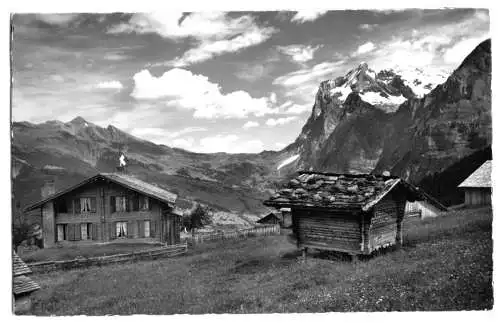 AK, Alpiglen b. Grindelwald, BE, Alpenhotel, Wetterhorn, Version 1, 1960