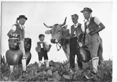 AK, St. Gallen SG, Gruss von der "OLMA", 1956