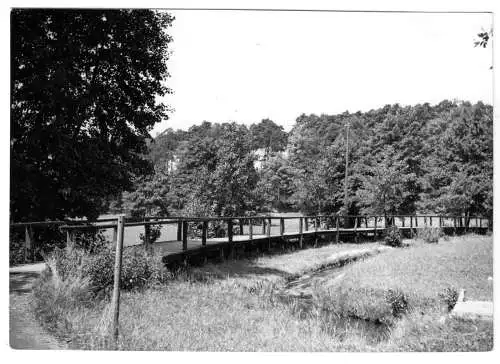 AK, Ferch Kr. Potsdam, Wiesensteg, 1965
