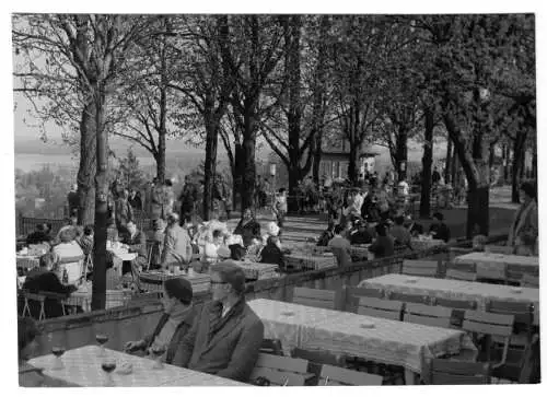 AK, Werder Havel, HO-Gaststätte Friedrichshöhe, Terrasse, belebt, 1964