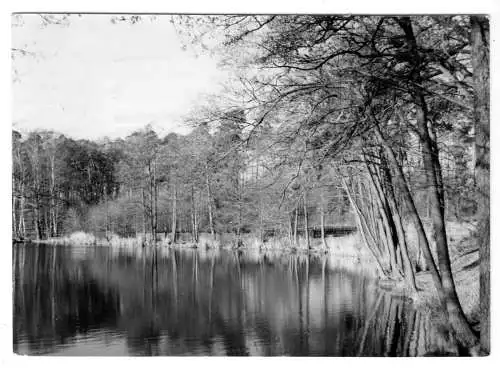 AK, Seddin Kr. Potsdam, Partie am Seddiner See, 1973