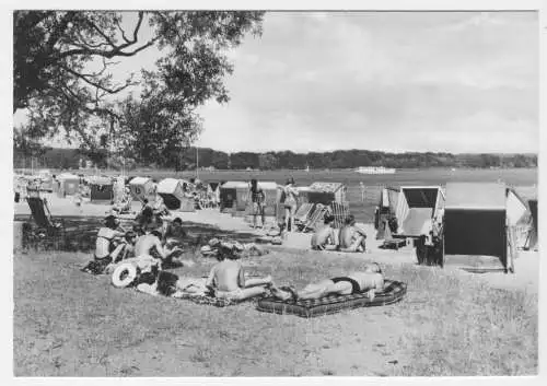 AK, Ferch Kr. Potsdam, Badestrand, belebt, 1983