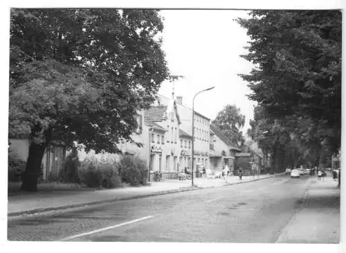 AK, Michendorf Kr. Potsdam, Potsdamer Straße, Version 2, 1969