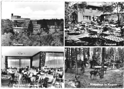 AK, Bad Bamstadt, Restaurant Haus "Tanneneck", 4 Abb., um 1961