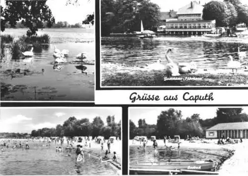 AK, Caputh bei Potsdam, vier Abb., 1970