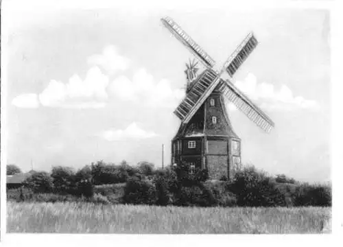 AK, Ostseebad Graal-Müritz, Mühle, um 1955