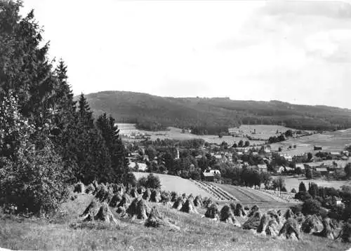 AK, Erlbach Vogtl., Gesamtansicht, Getreidehocken, 1964