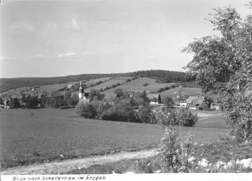 AK, Schellerhau Erzgeb., Teilansicht 1, 1975