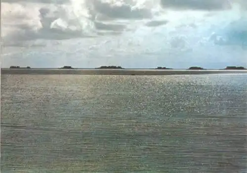 AK, Blick auf Hallig Langeness, um 1978