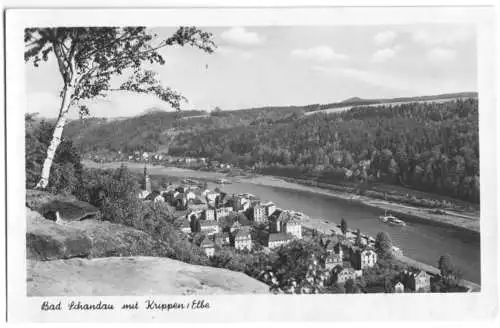 AK, Blick auf Bad Schandau und Krippen, 1955