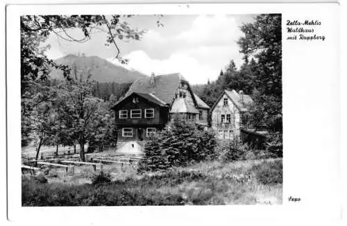 AK, Zella-Mehlis, Waldhaus mit Ruppberg, 1955
