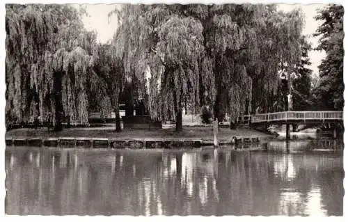 AK, Lübben, Partie an der Spree, 1959