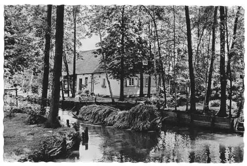 AK, Lehde Spreewald, Gehöft, Spreekahn mit Heu, 1959