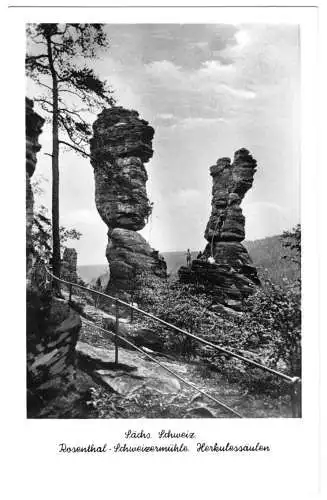 AK, Rosenthal Sächsische Schweiz, Seilschaften an den Herkulessäulen, 1954