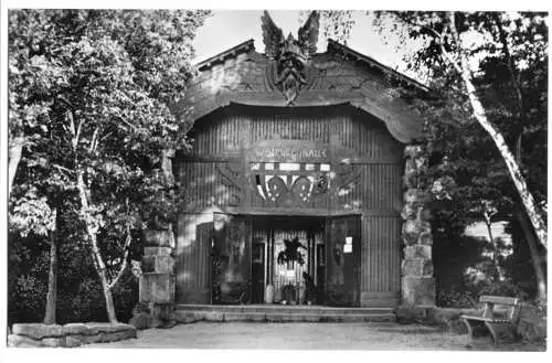 AK, Thale Harz, Bodetal, Walpurgishalle auf dem Hexentanzplatz, 1963