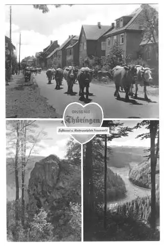 AK, Frauenwald Thür., drei Abb., u.a. Rinderherde auf Ortsstr., 1958