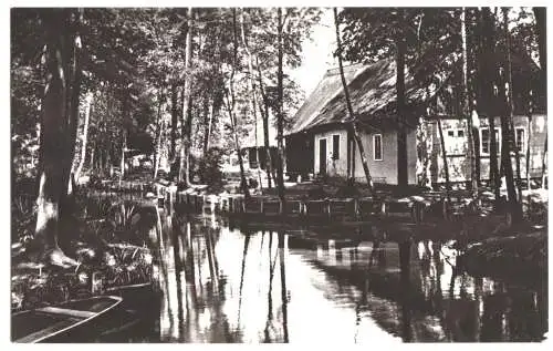 AK, Lehde im Spreewald, Wohnhäuser, 1959