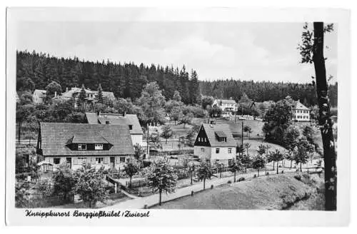 AK, Kurort Berggießhübel Zwiesel, Teilansicht, 1956