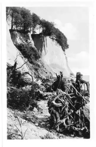 AK, Insel Rügen, Partie an der Kreideküste, 1954