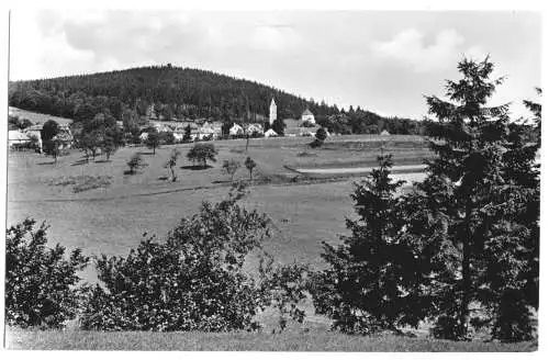 AK, Schönberg am Kapellenberg bei Bad Brambach, Gesamtansicht, 1958