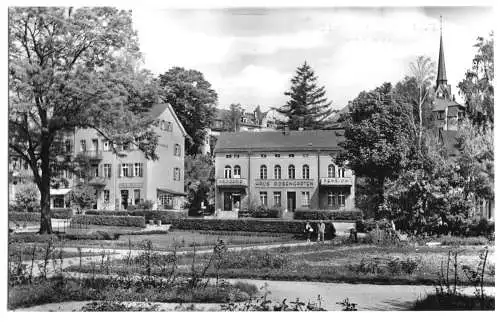AK, Bad Elster, Blick vom Rosengarten auf Haus Rosengarten, 1961